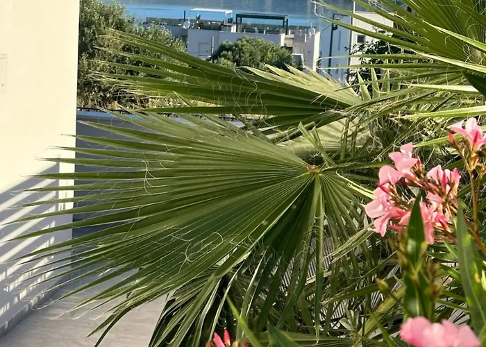 Appartement Luxury Palmview Mit Whirlpool Und Terrasse Trogir